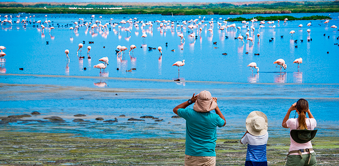 Evento de observación de aves más grande del mundo